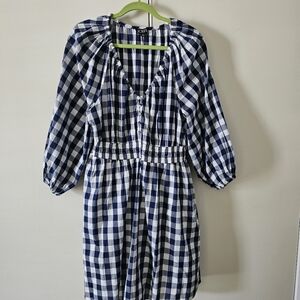 J. Crew Navy and White Cotton Gingham Long Sleeve Mini Dress